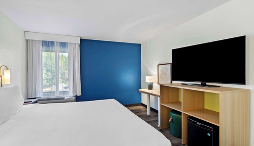 Room, 1 King Bed