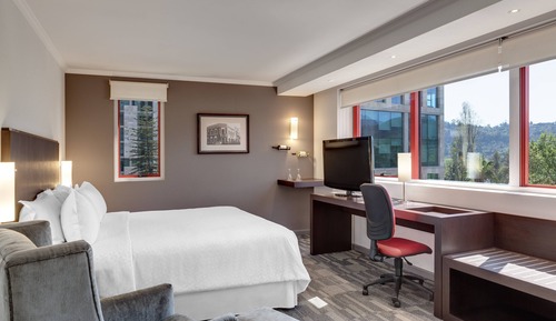 Deluxe Room, 1 King Bed, Non Smoking