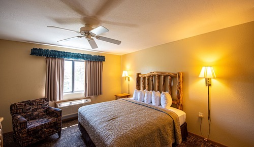 Room, 1 King Bed, Non Smoking, Park View (and Lakeview)