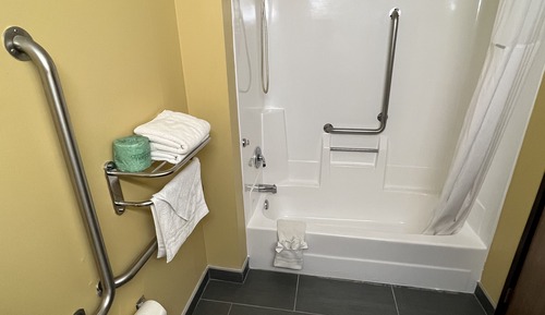 Room, 1 Queen Bed, Accessible, Refrigerator & Microwave