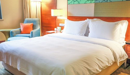 Standard Room, 1 King Bed, Accessible
