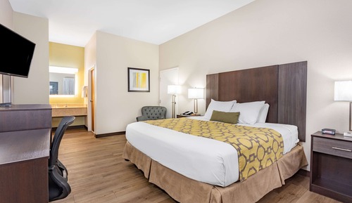 Room, 1 King Bed, Non Smoking