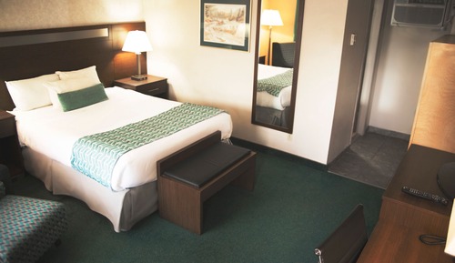 Efficiency, Room, 1 Queen Bed, Non Smoking
