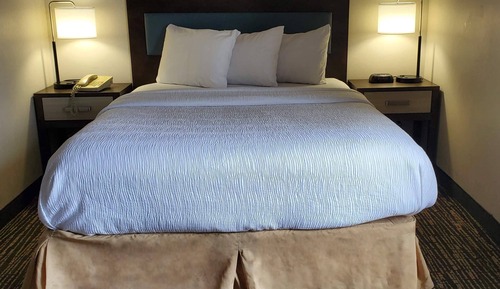 Suite, 1 Queen Bed, Accessible, Non Smoking (Roll-In Shower)