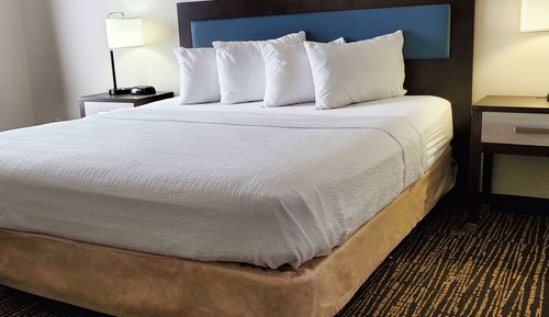 Room, 1 King Bed, Non Smoking