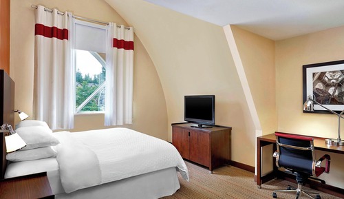 Room, 1 King Bed