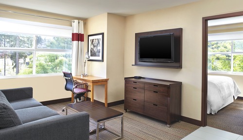 Executive Suite, 1 King Bed with Sofa bed