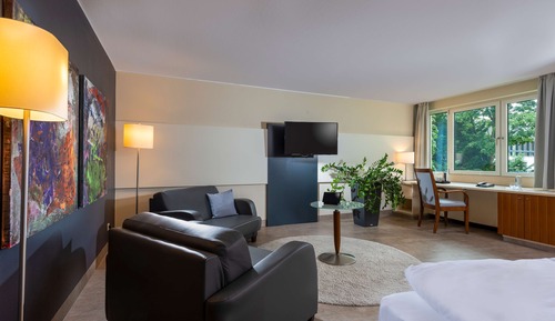 Business Room with Double Bed