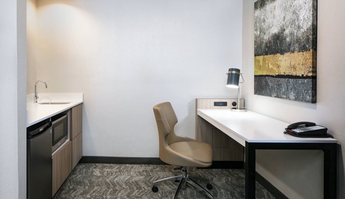 Suite, 1 King Bed with Sofa bed, Non Smoking (Mobility Accessible, Roll-In Shower)