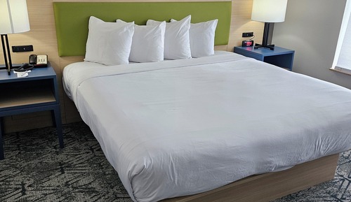 Room, 1 King Bed, Non Smoking, Refrigerator