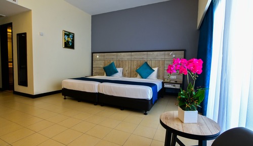 Deluxe Room, Hill View