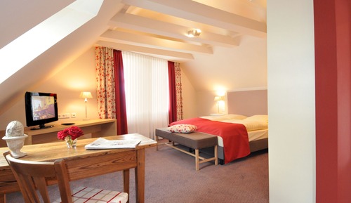 Exclusive Studio Suite, Terrace (Penthouse)