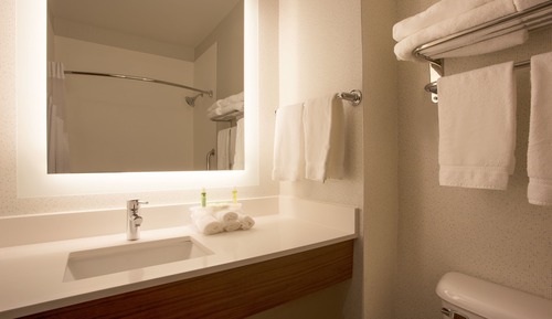 Room, 1 King Bed, Accessible, Non Smoking (Roll-In Shower)