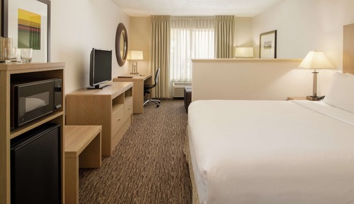Room, 1 King Bed