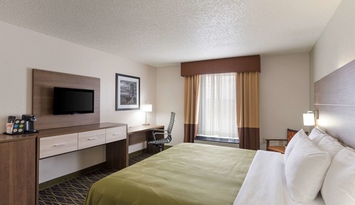 Standard Room, 1 King Bed, Roll-in Shower, Accessible, 1st Floor, Non-Smoking