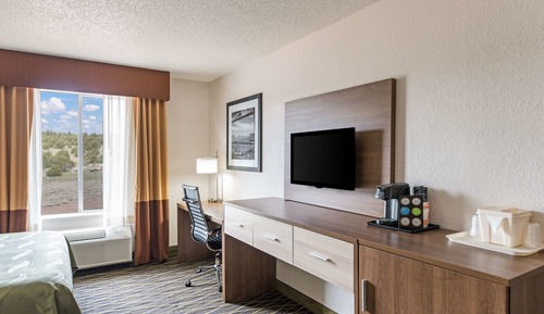 Standard Room, 1 King Bed, Non Smoking