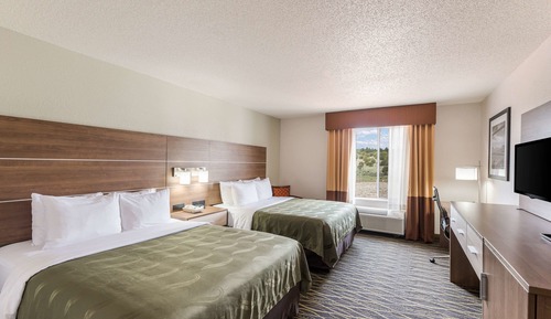 Standard Single Room, 1 King Bed