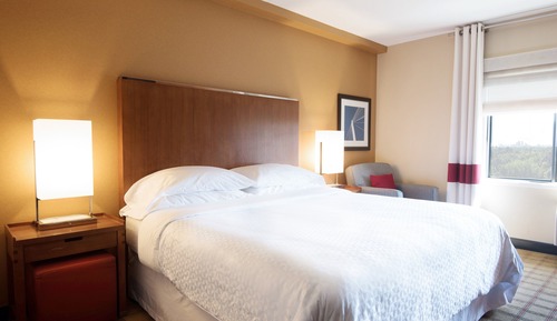 Room, 1 King Bed
