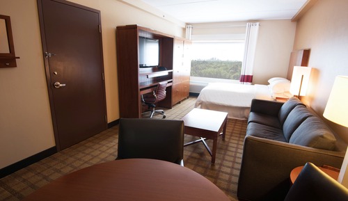 Room, 1 Queen Bed with Sofa bed