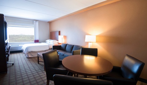 Room, 1 Queen Bed with Sofa bed
