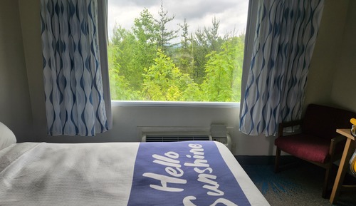 Room, 1 King Bed, Accessible, Non Smoking