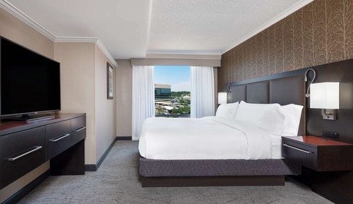 Studio Suite, 1 King Bed
