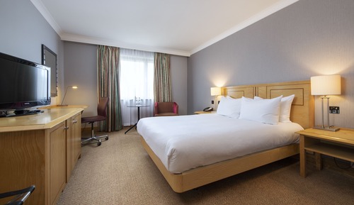 Room, 1 Queen Bed