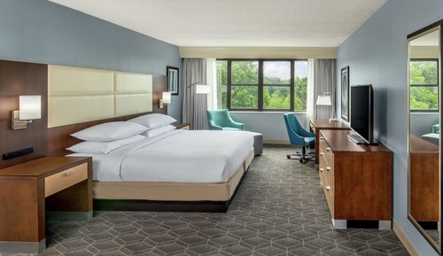 Studio Suite, 1 King Bed
