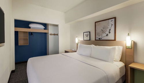Room, 1 King Bed with Sofa bed