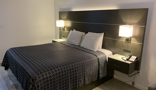 Single Room, 1 King Bed