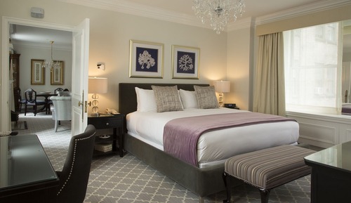 Suite (Interior )