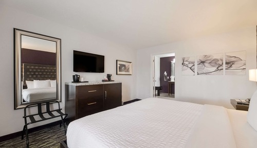 Room, 1 King Bed, Accessible, Non Smoking (Roll In Shower)