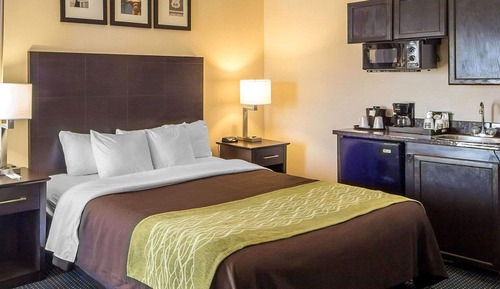 Standard Room, 1 King Bed, Non Smoking