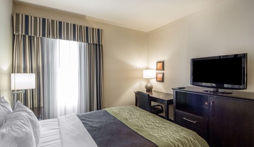 Standard Room, 1 Queen Bed, Non Smoking