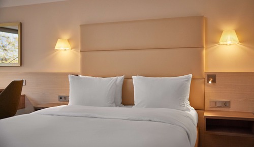 Family Room, 1 King Bed