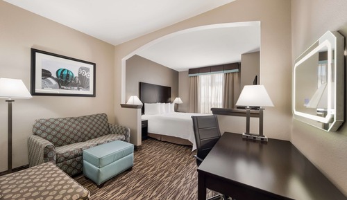 Standard Room, 1 King Bed, Accessible, Refrigerator & Microwave (with Sofabed)