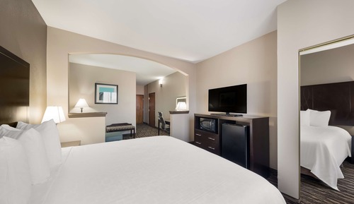 Standard Room, 1 King Bed, Accessible, Refrigerator & Microwave (with Sofabed)
