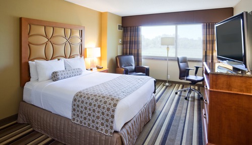 Standard Room, 1 Queen Bed