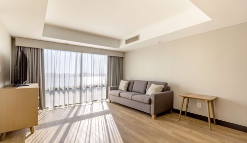Suite, 1 King Bed, Partial View