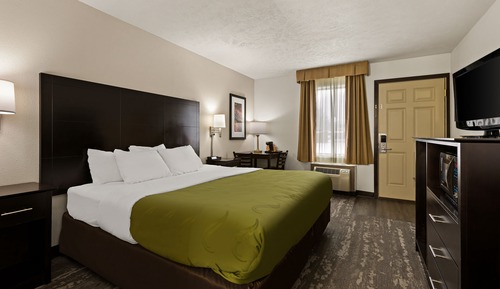 Room, 1 King Bed, Non Smoking