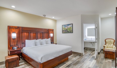 Room, 1 King Bed