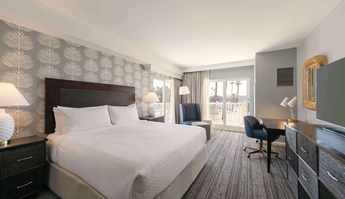 Room, 1 King Bed, Accessible (Roll-In Shower, Hearing Accessible)