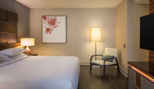 Room, 1 King Bed, Accessible, Bathtub