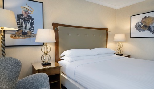Superior Room, 1 King Bed, Non Smoking