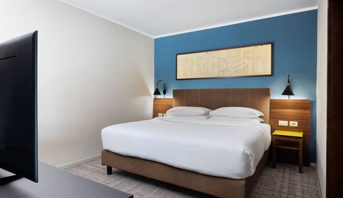 Executive Suite, 1 King Bed