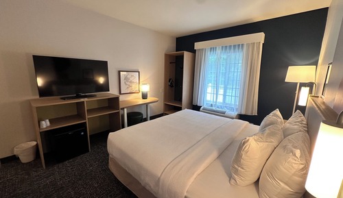 Room, 1 King Bed, Accessible (Mobility, Roll-In Shower)