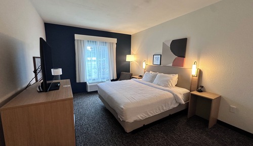 Room, 1 King Bed