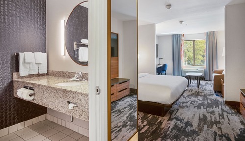 Suite, 1 King Bed with Sofa bed