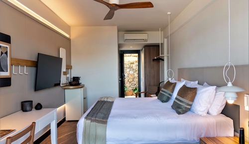 Room, 1 Queen Bed (Tropical Nest)
