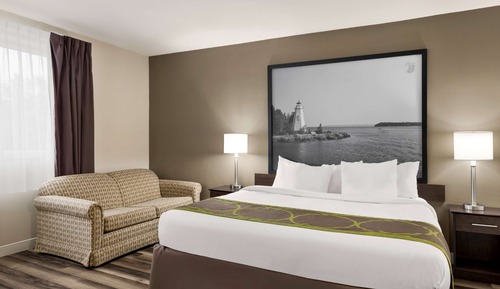 Suite, 1 King Bed
